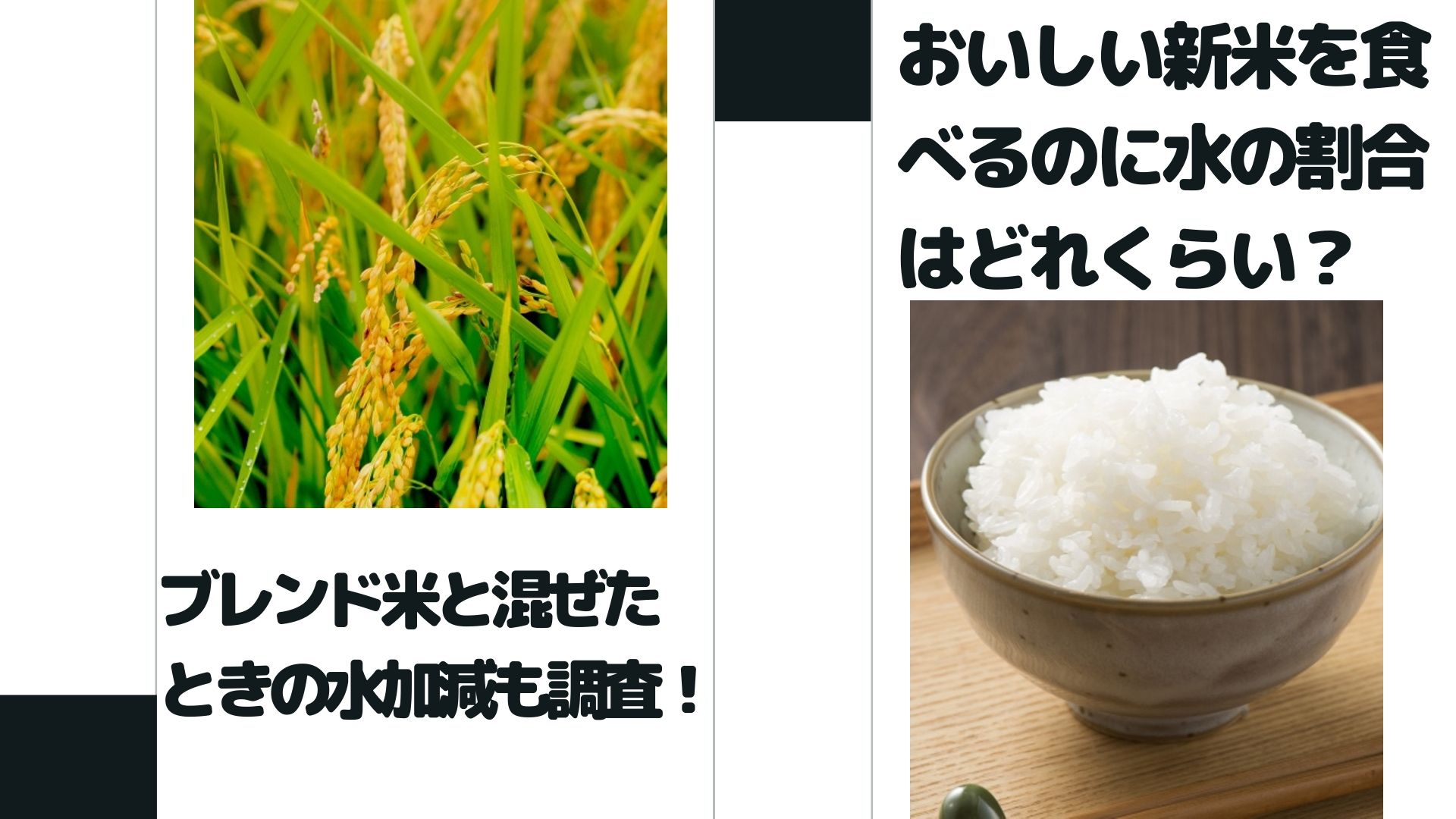 おいしい新米を食べるのに水の割合はどれくらい？ブレンド米と混ぜたときの水加減も調査！ | はぴねす